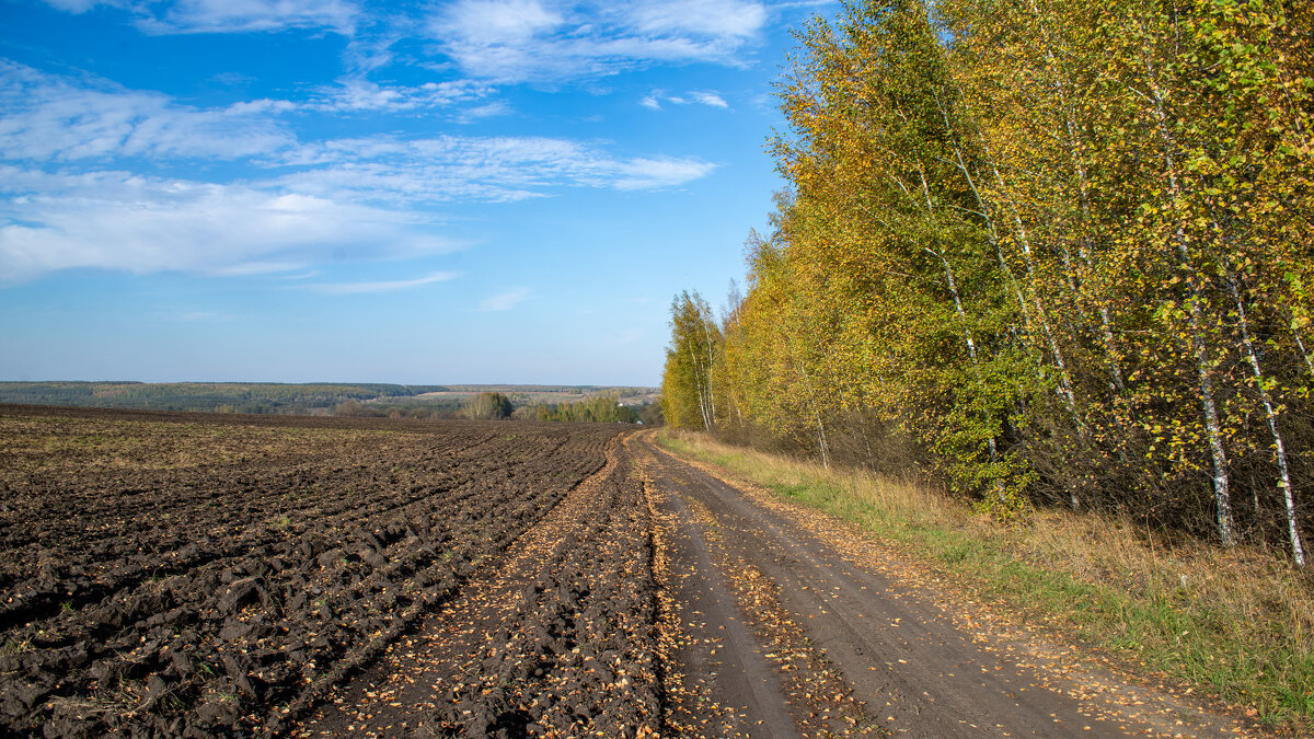 Дорога вдоль поля - Владимир Иванович
