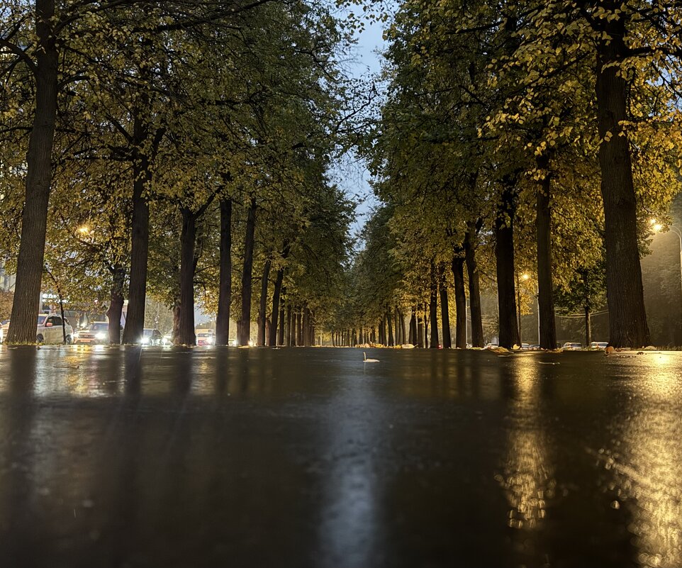 Город,где всегда тепло - Анна Камс