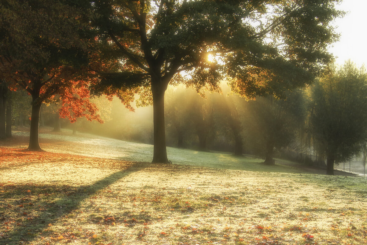 ****** - Андроник Александр 