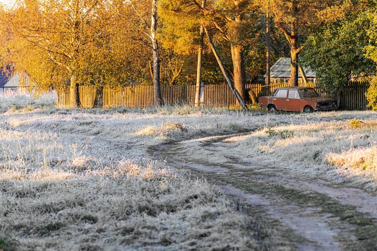 Заморозеи - Александр 