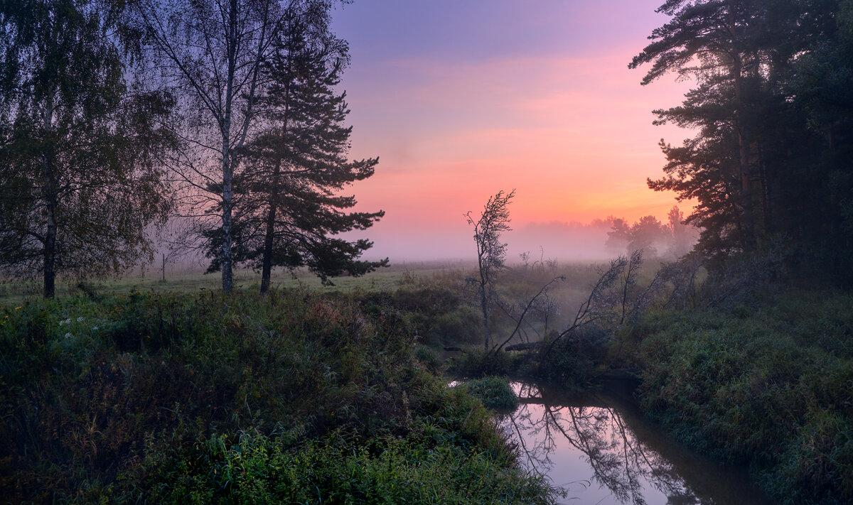 Запруда ... - Roman Lunin
