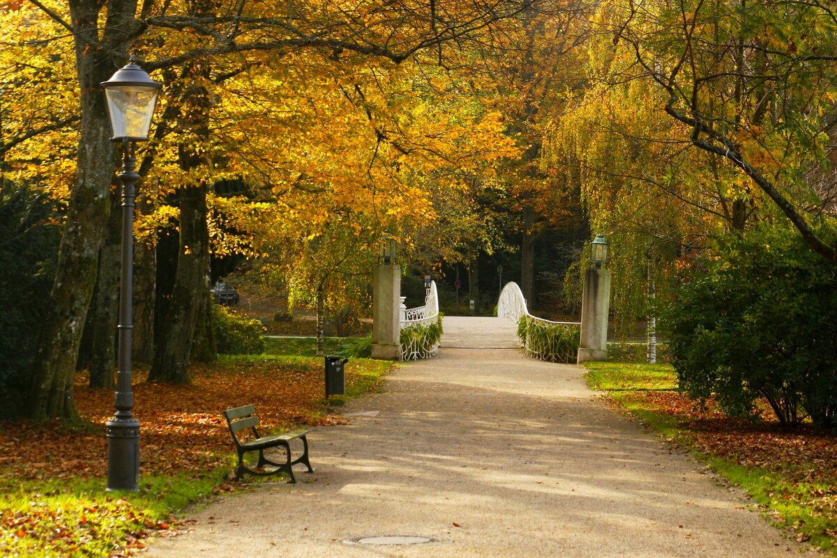 Прогулка по Лихтенталер аллее - Юрий. Шмаков