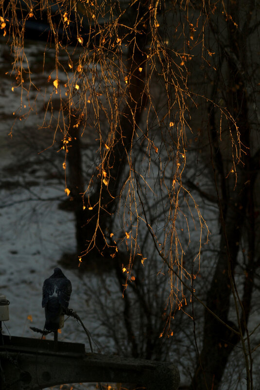 Занавес - Сергей Сергеев