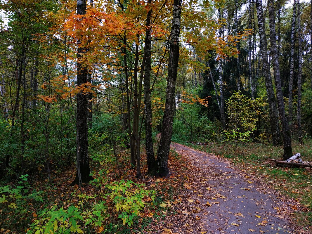Тема с вариациями - Андрей Лукьянов Тема с вариациями - Андрей Лукьянов