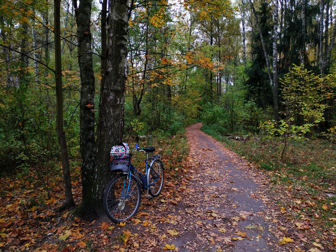 Тема с вариациями - Андрей Лукьянов