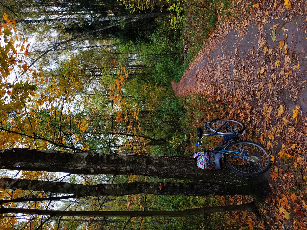 Тема с вариациями - Андрей Лукьянов Тема с вариациями - Андрей Лукьянов