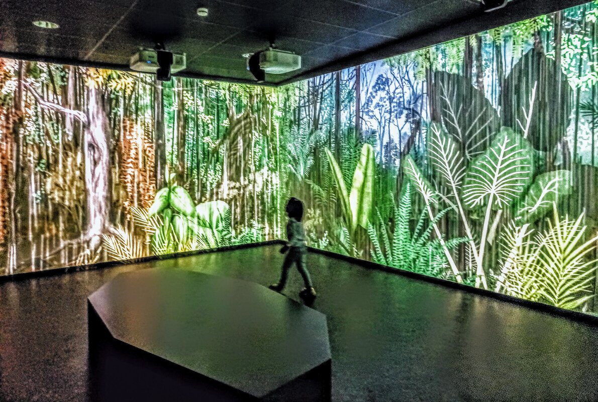 При входе в туннель тропического леса - Veera V