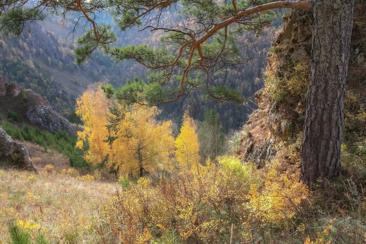 Осенний склон - Марина Фомина. Осенний склон - Марина Фомина.