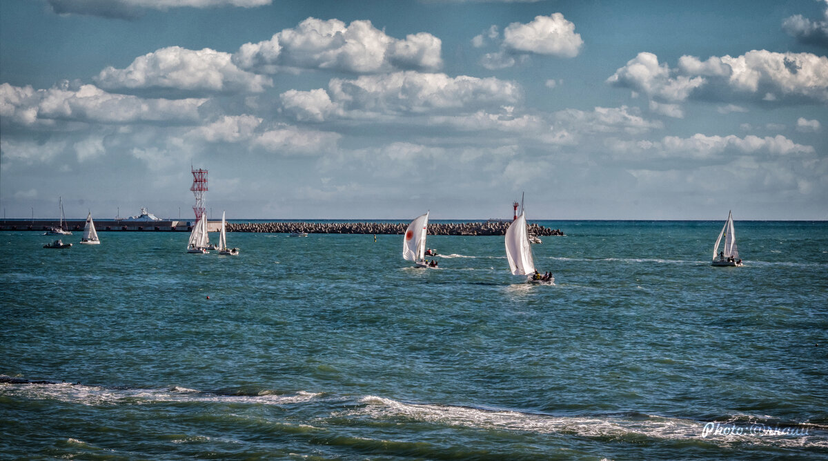 Регата - arkadii 