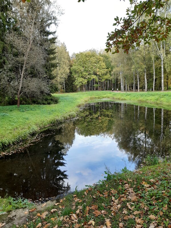 Павловск, Павловский парк - Галина Минчук
