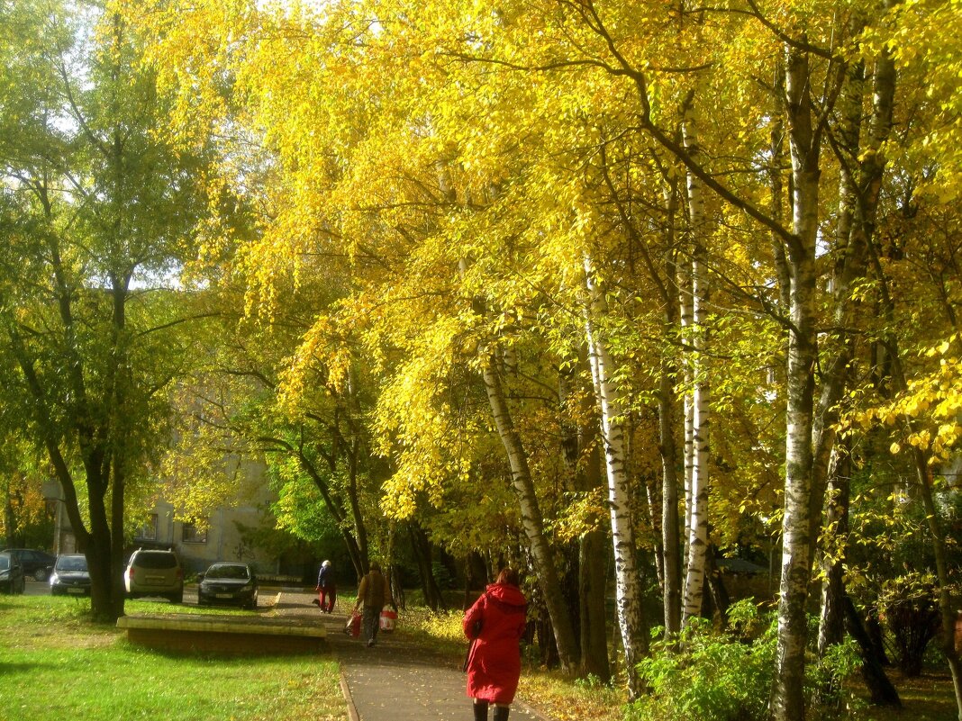 Осень в городе - Елена Семигина