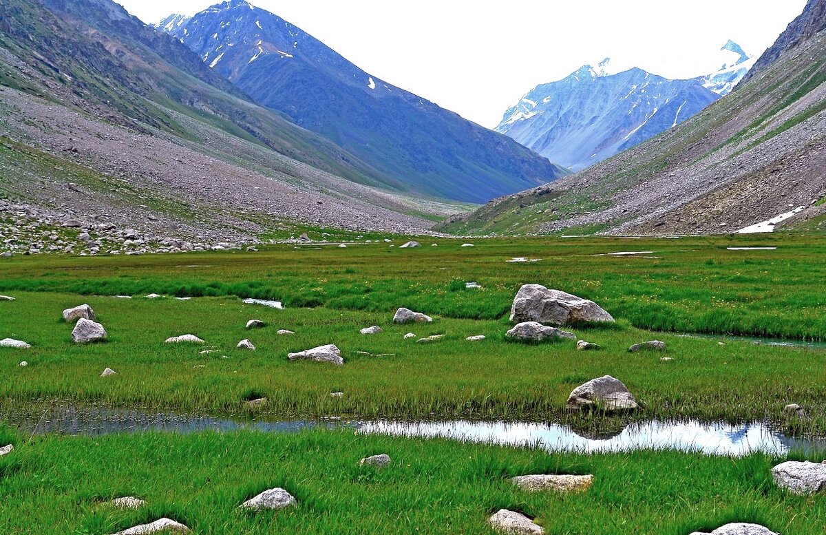 ПРИТОК ОЙГАИНГА. h- 2850м. - Виктор Осипчук