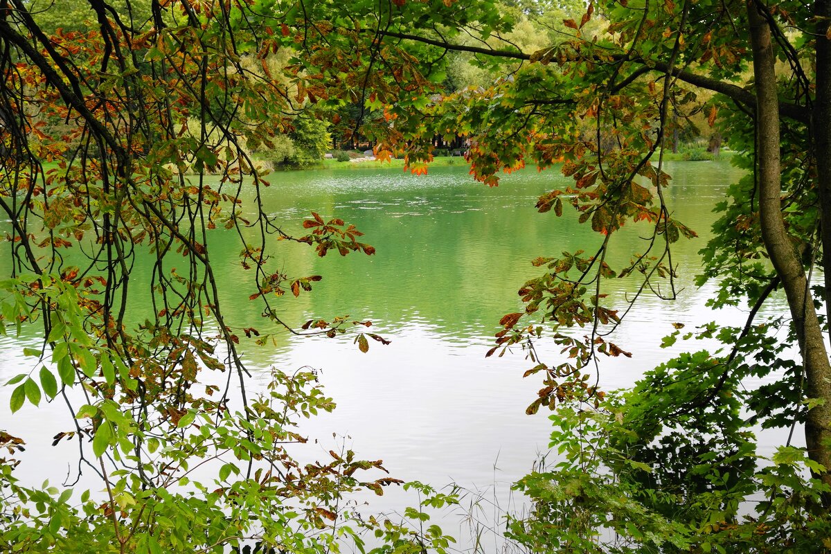 Картинки октября - Рита Симонова