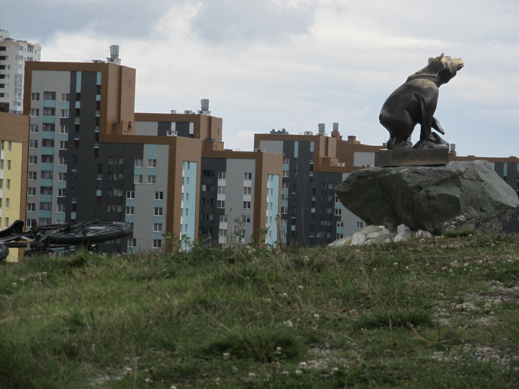Академический - Елена Шаламова