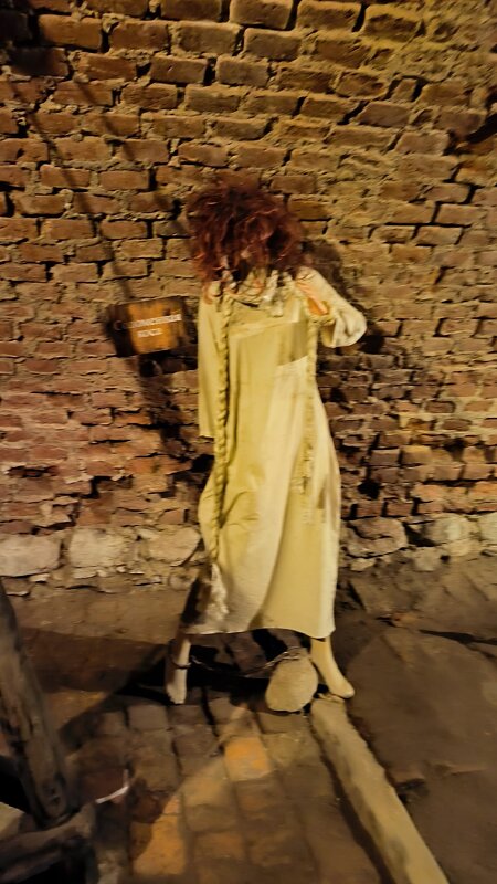 В пыточной замка. - Ольга В пыточной замка. - Ольга