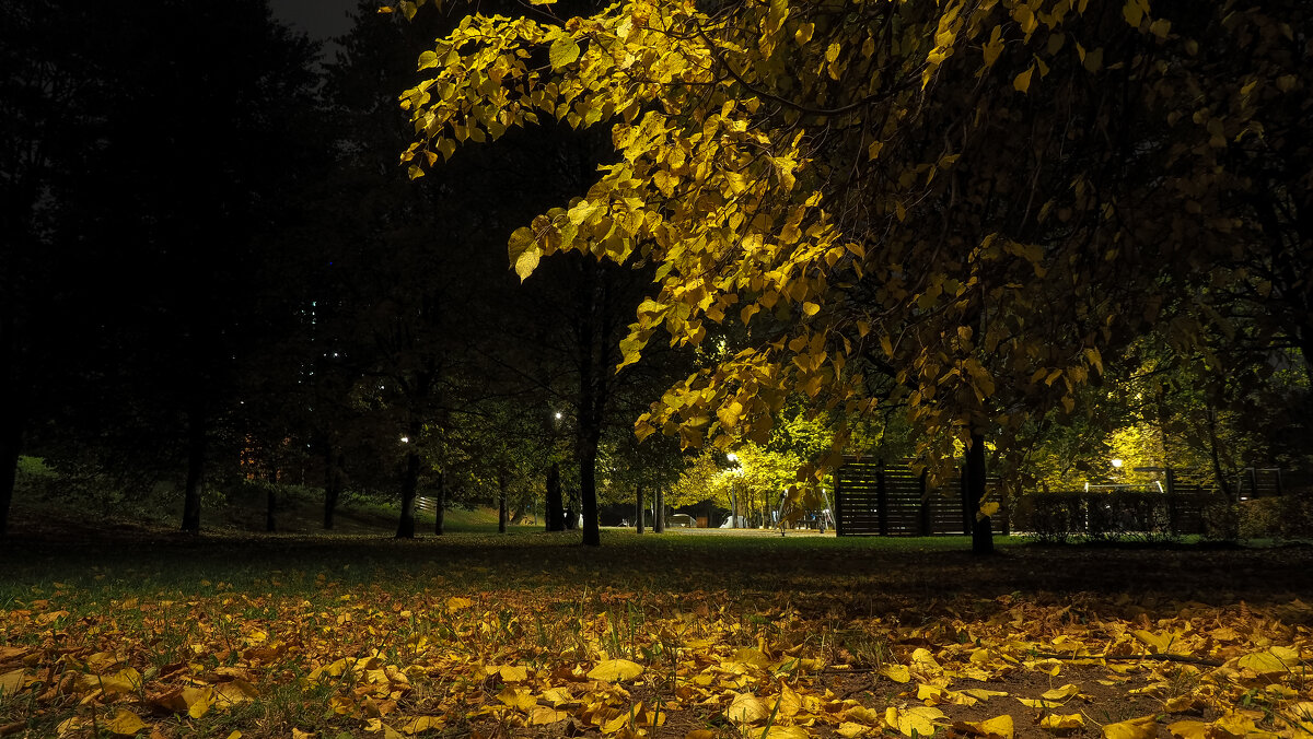 ***** - юрий поляков