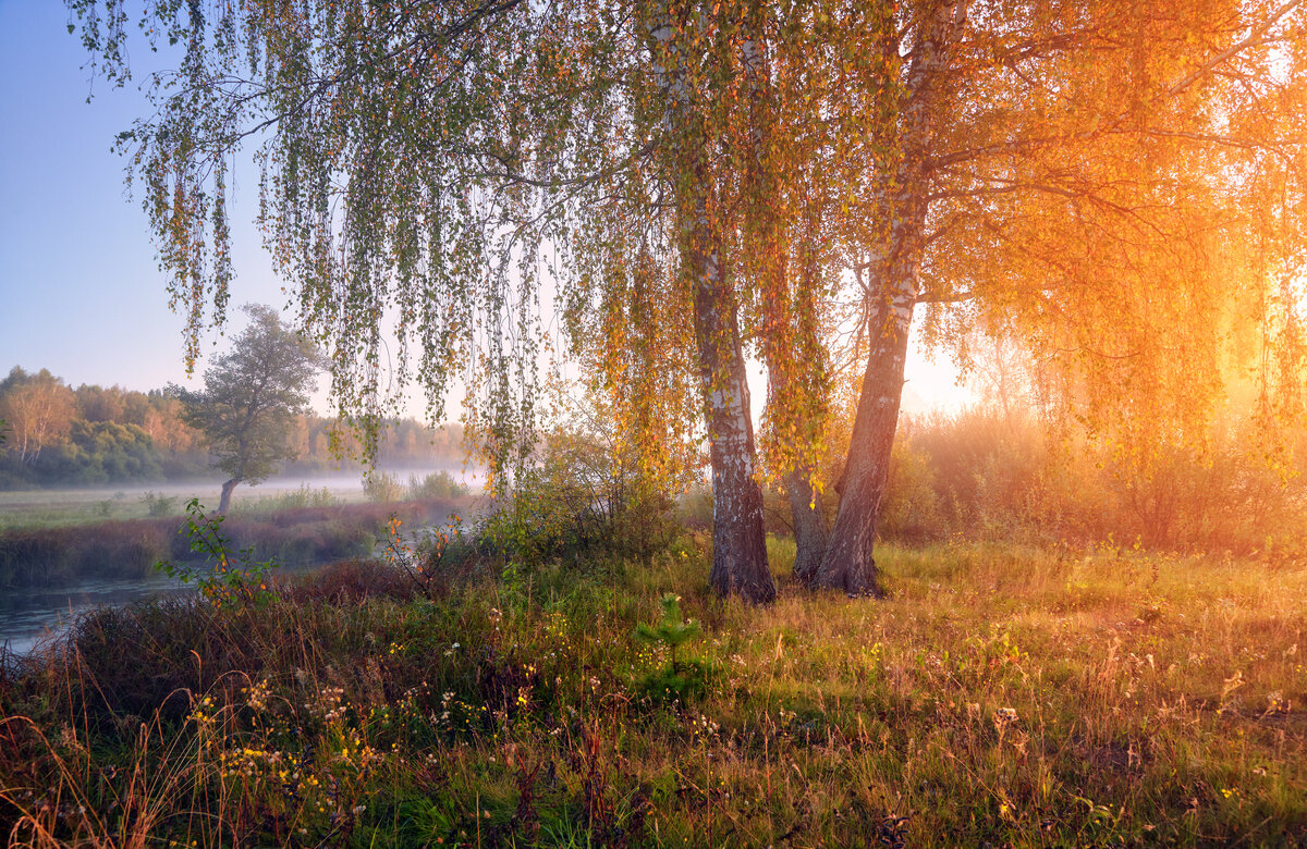 Ярче всего золота мира ... - Roman Lunin