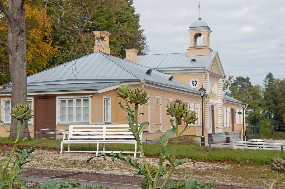 Артишок созрел. - Ирэна Мазакина