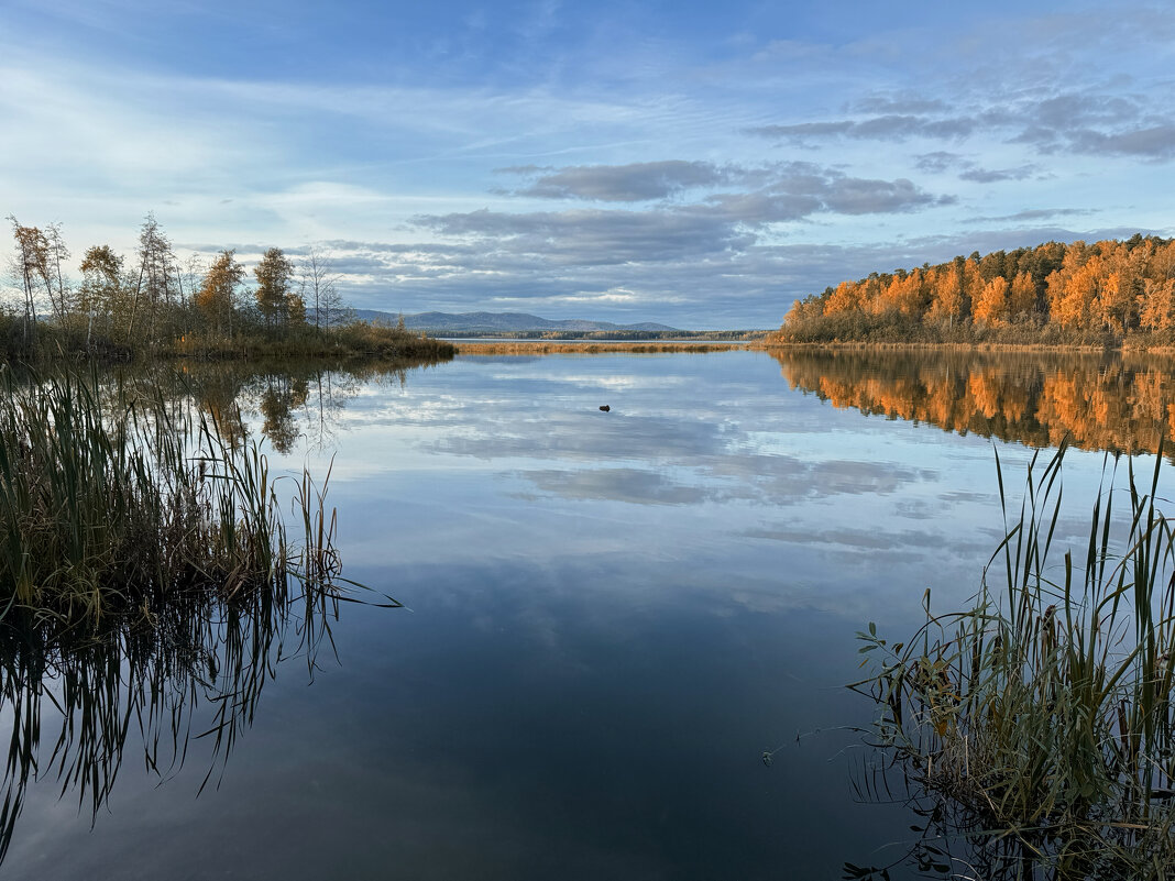 Осенний пейзаж. - Сергей Адигамов