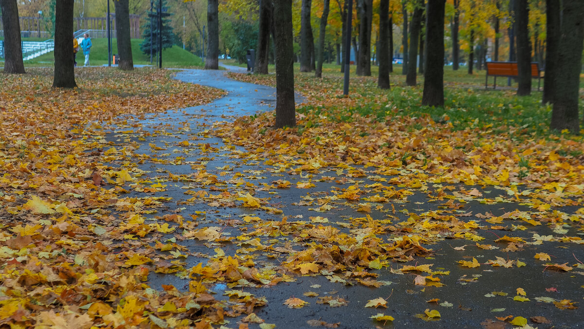 ***** - юрий поляков