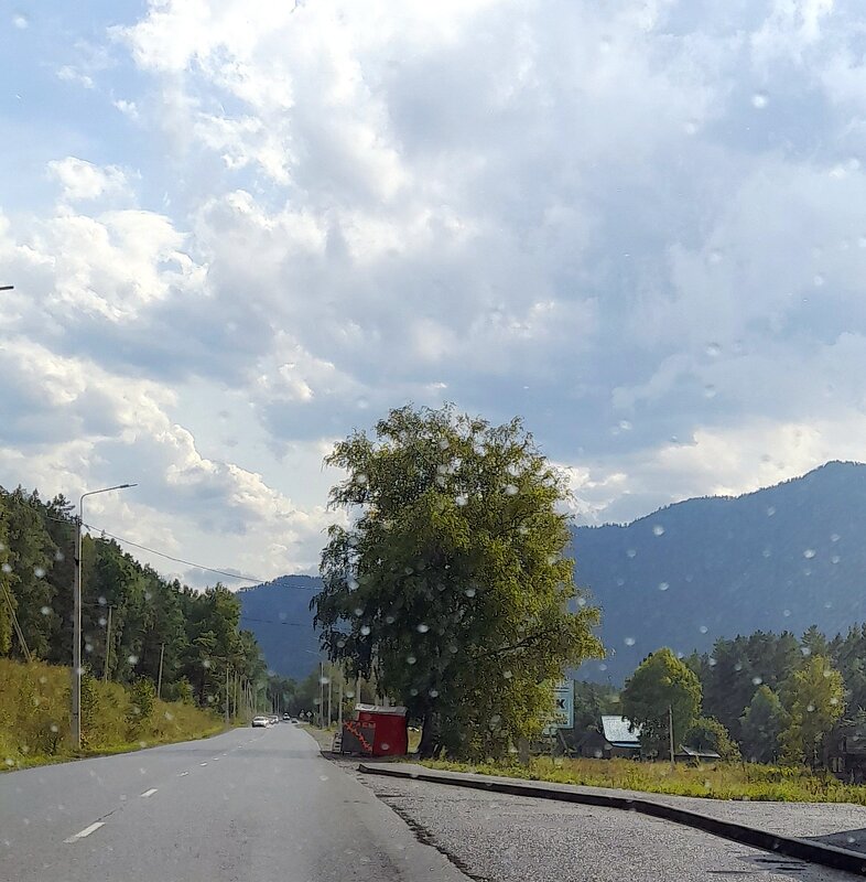 Не смотря на дождик ...Алтай   прекрасен . - Мила Бовкун