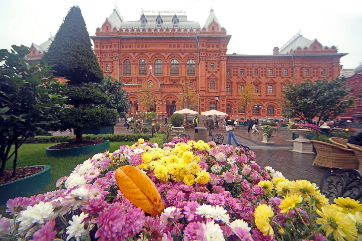 Фестиваль еды и урожая 7 октября - Михаил Бибичков