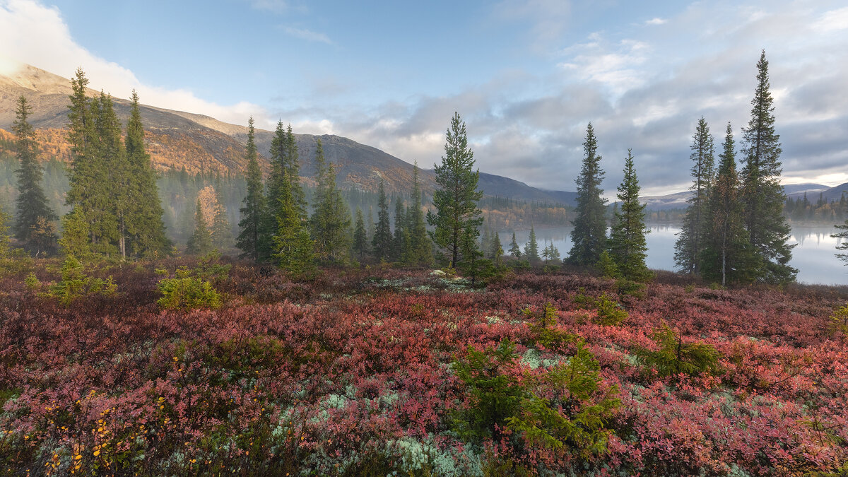 Хибинская осень - Юрий 