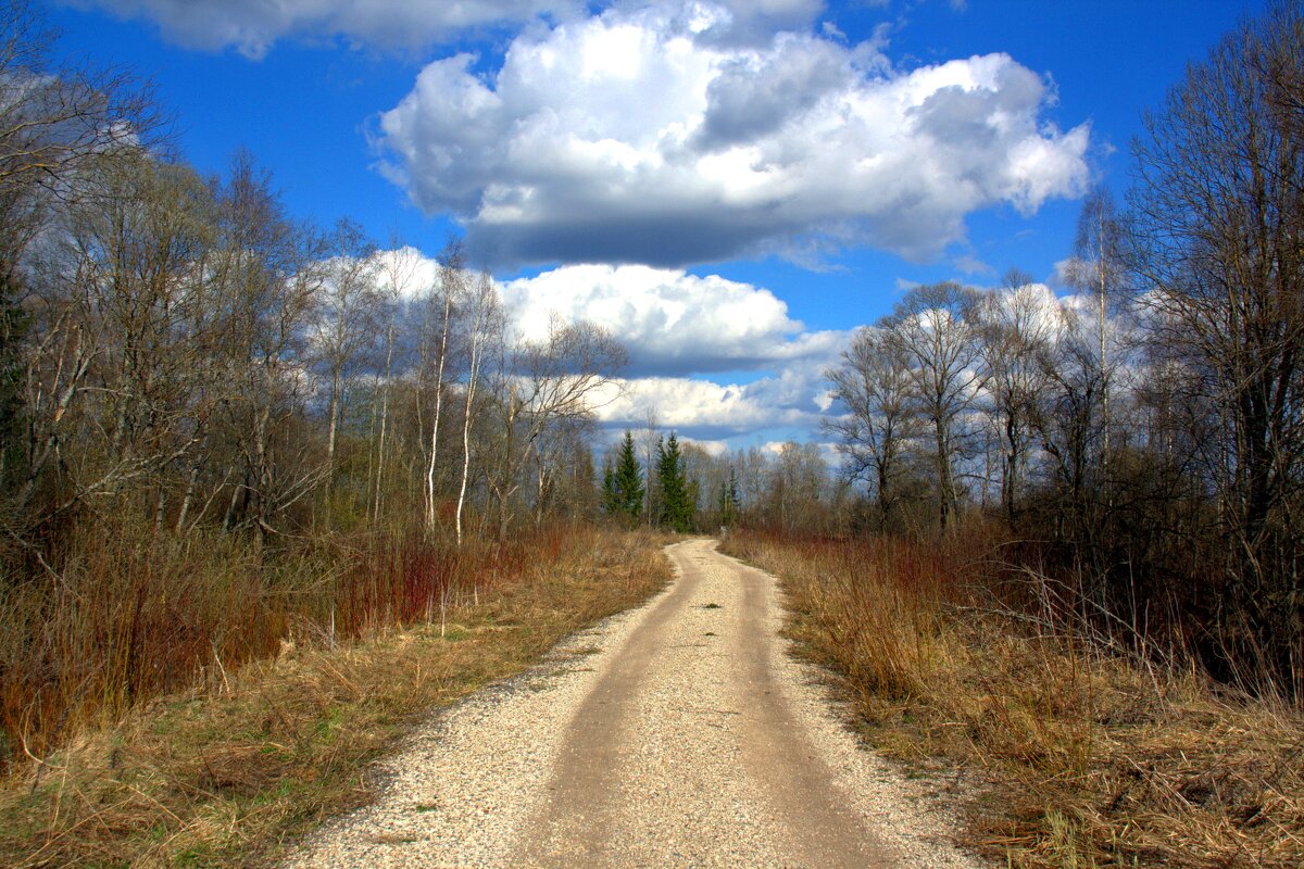 Колотушино - Артем 