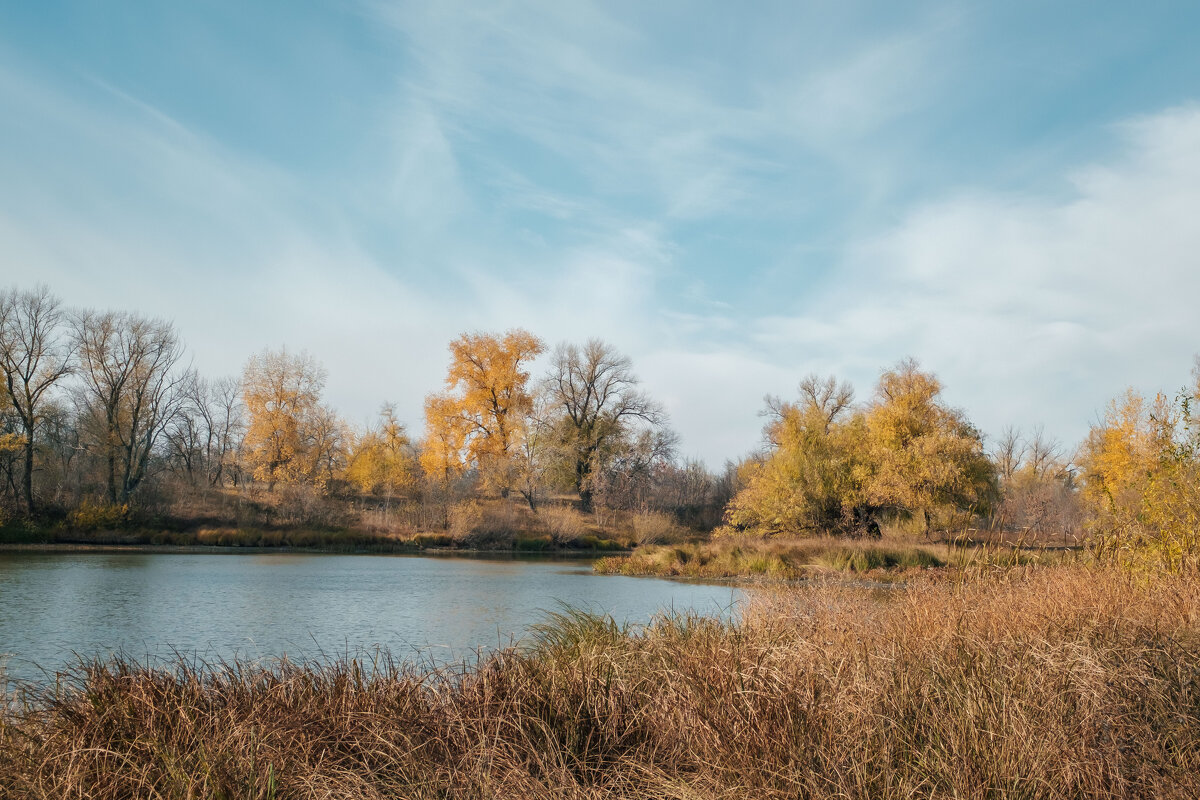 Сухая Ахтуба. Осень - Олег Дорошенко