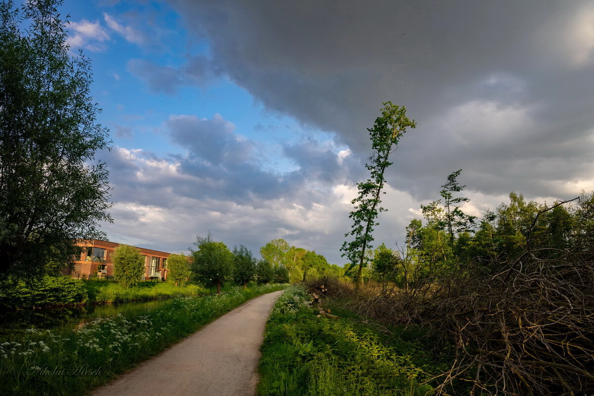 По дорожке... - Николай Гирш