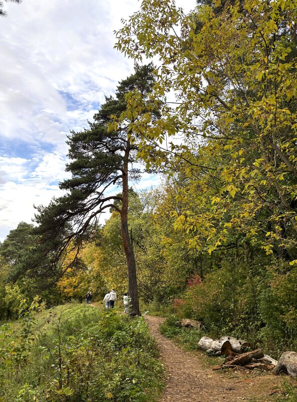 Осенней тропой - Мария - Maria
