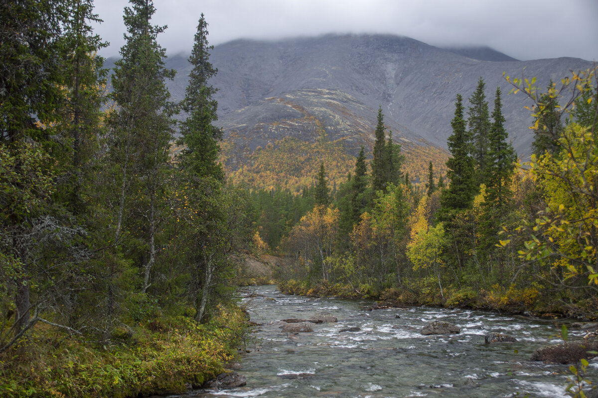 На излучине.............. - Юрий Цыплятников