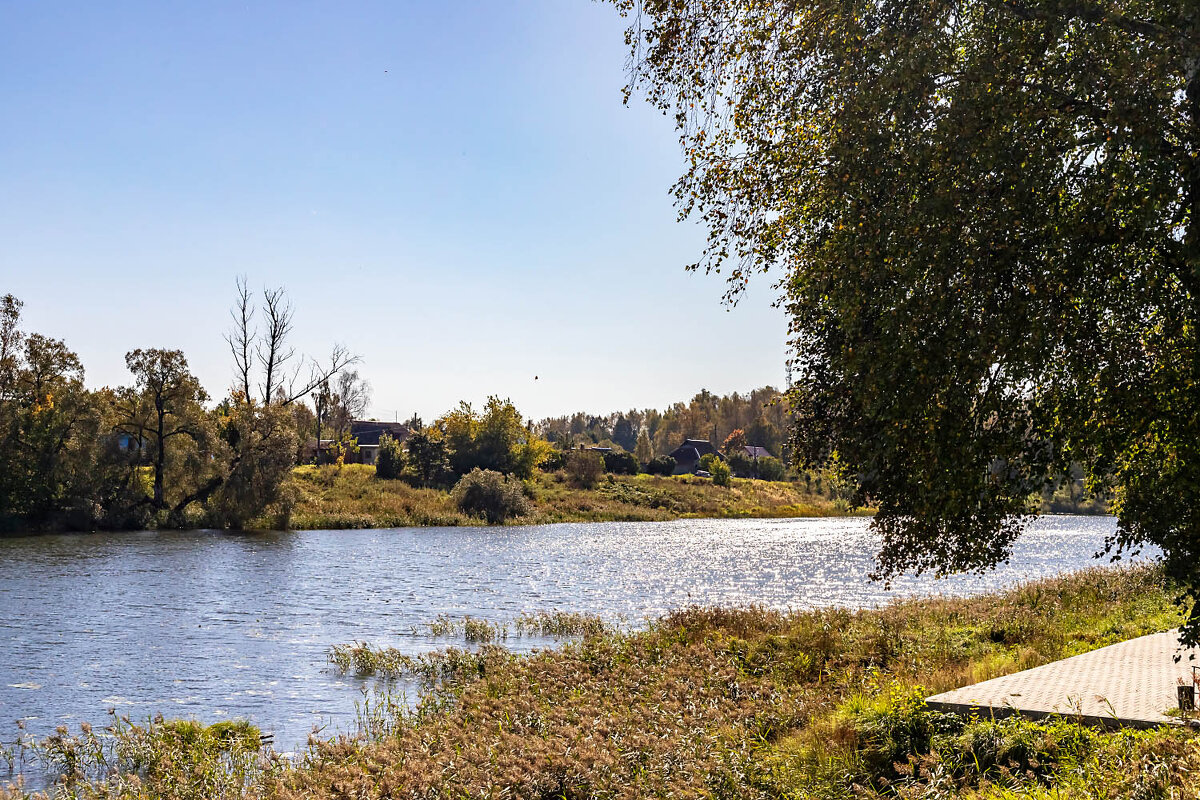 Берега Десны - Александр 