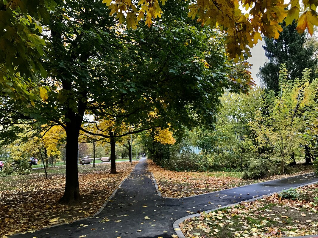 Выбери свою дорогу!) - Любовь 