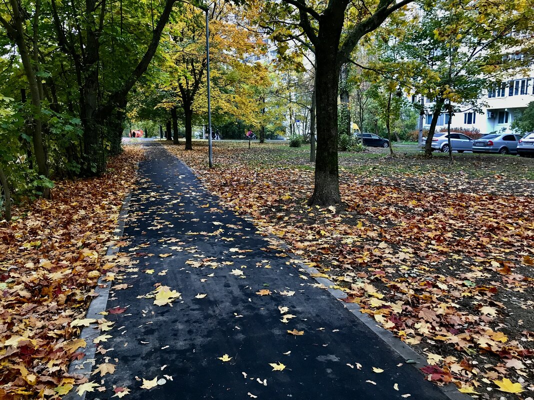 Ковровые дворовые дорожки) - Любовь Ковровые дворовые дорожки) - Любовь