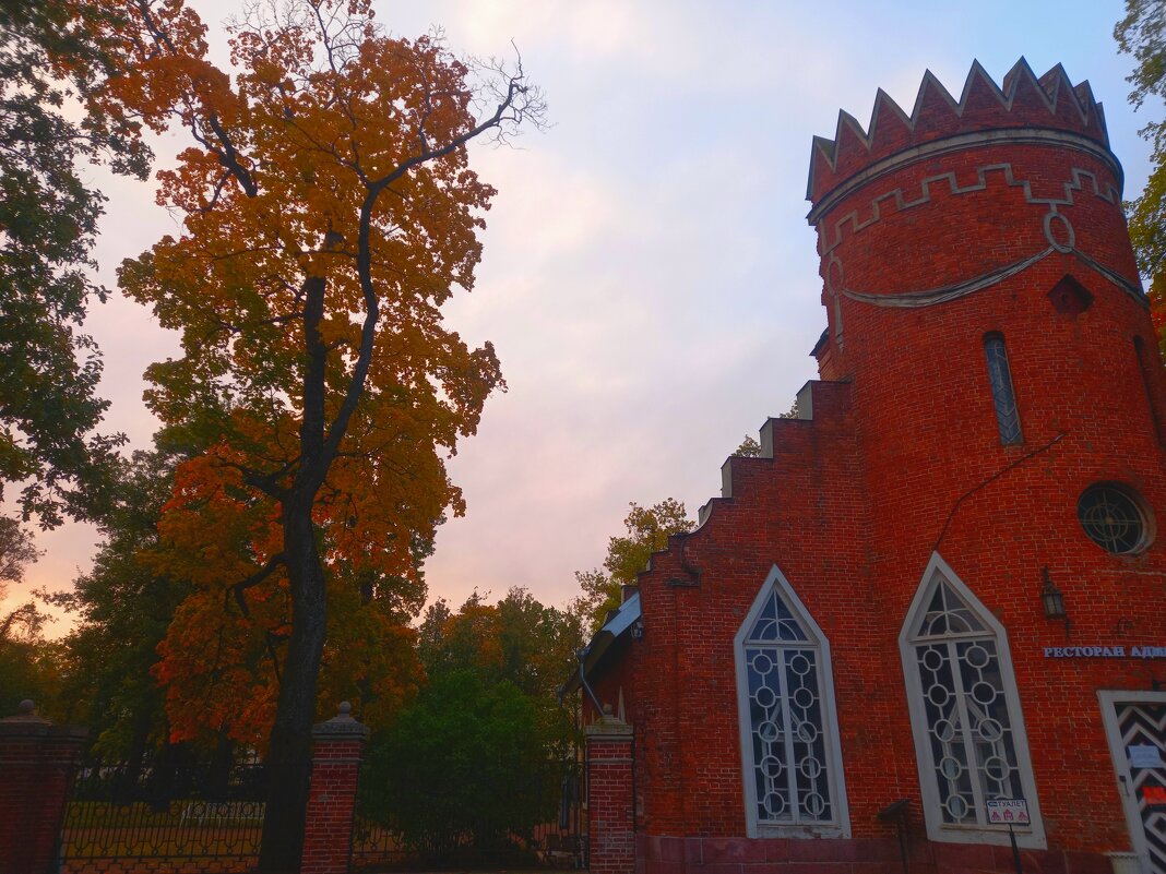 Рассвет - Сапсан 