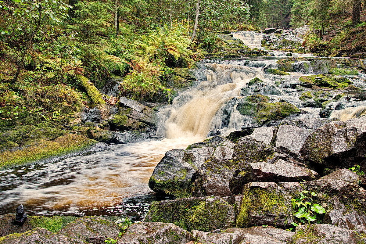 В ЛУМИВААРЕ. Карелия. - Виталий Половинко