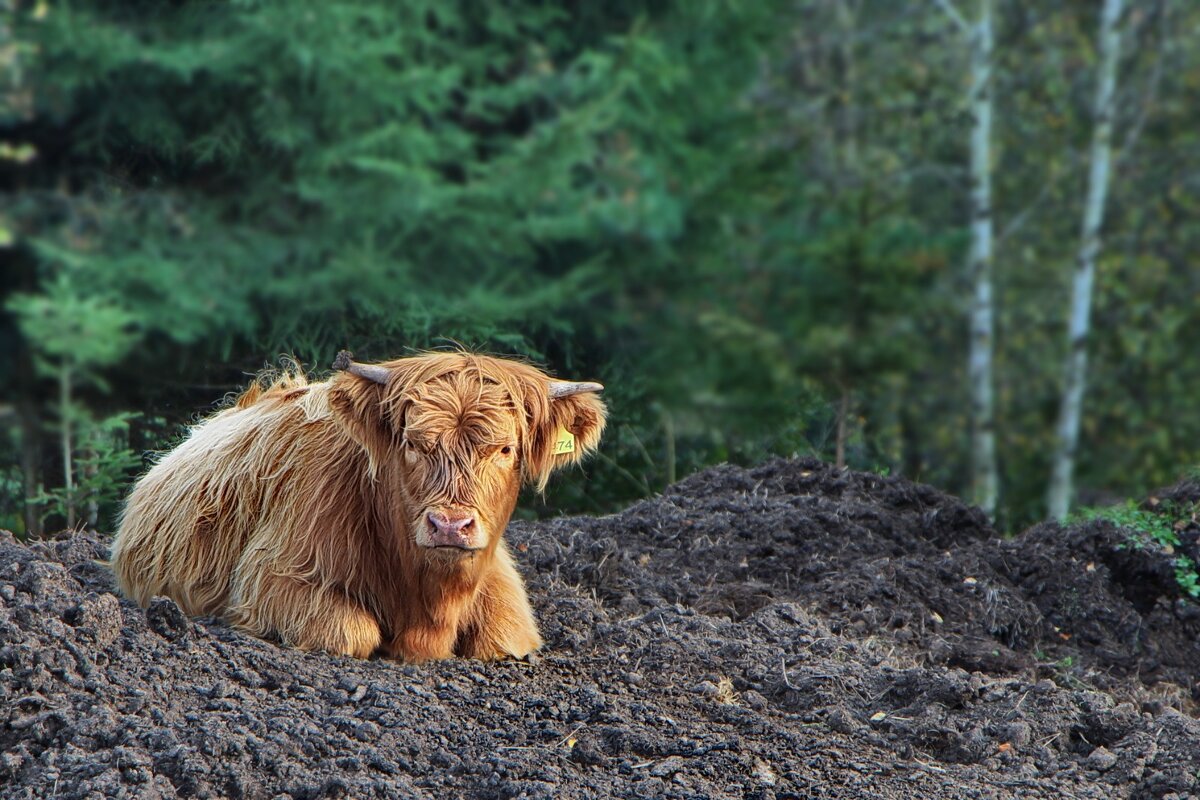 Короткий отдых - Тамара Вебер