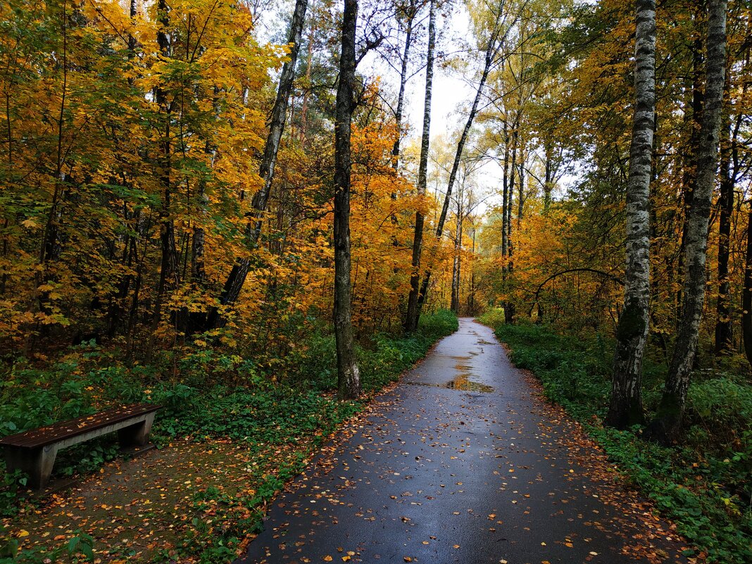 Осень в парке - Андрей Лукьянов Осень в парке - Андрей Лукьянов