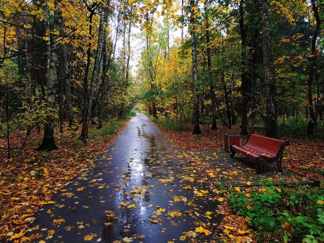 Осень в парке - Андрей Лукьянов
