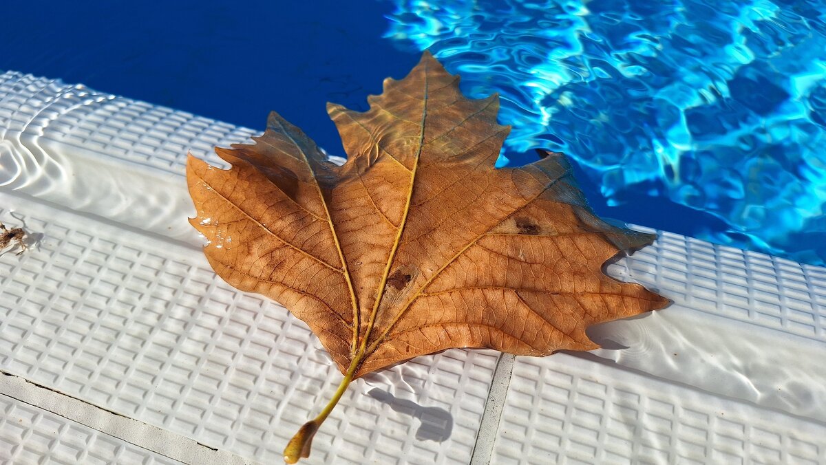 Болгария, Солнечный Берег, 25 сент. 2025 г. - Леонид Школьный