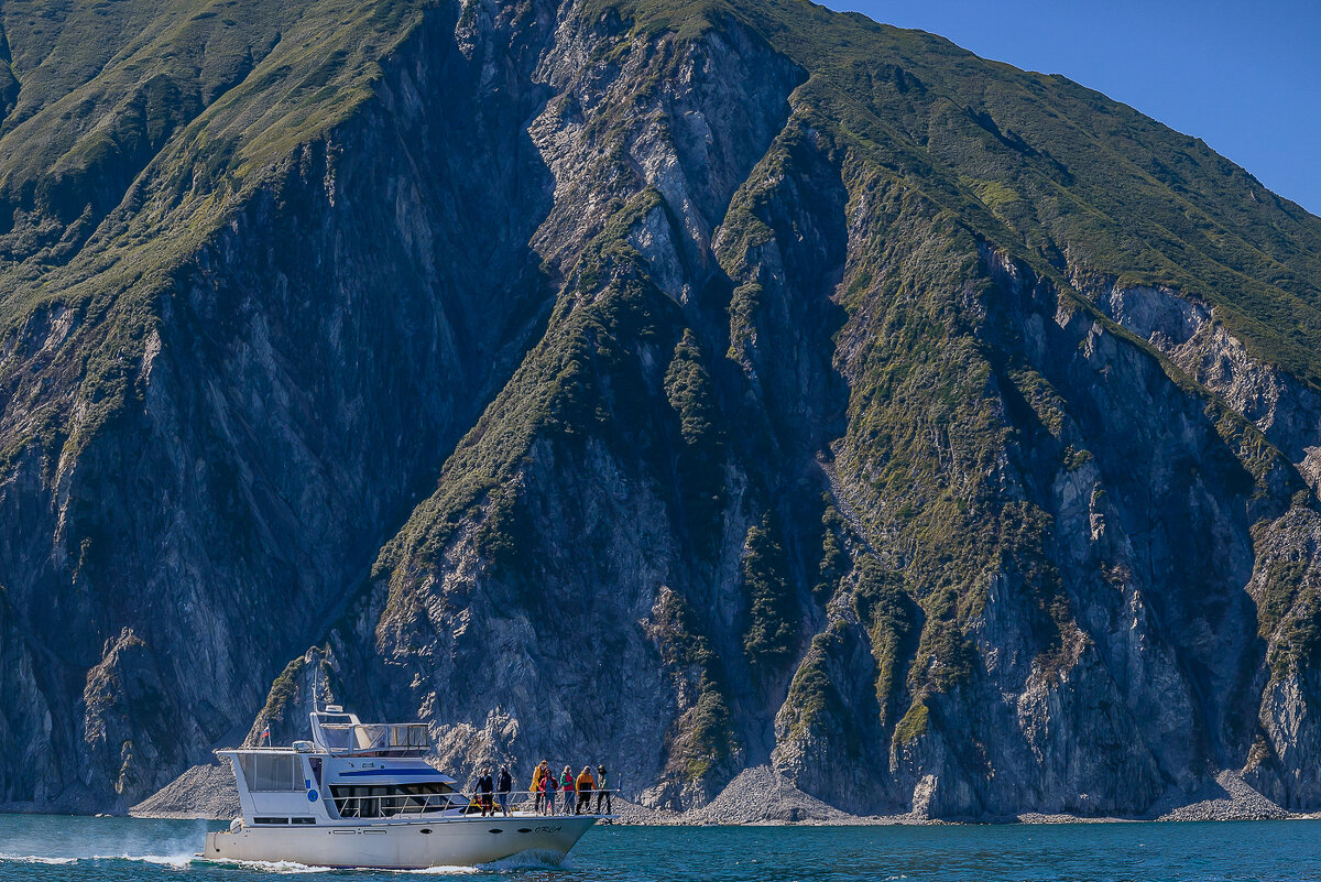 ... - Жора Житников