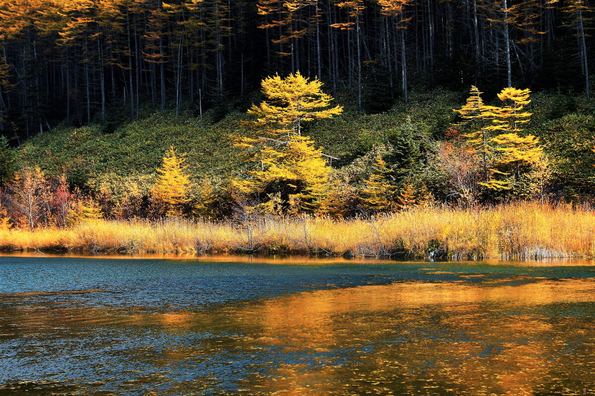 День в октябре. - fillarret-2 День в октябре. - fillarret-2