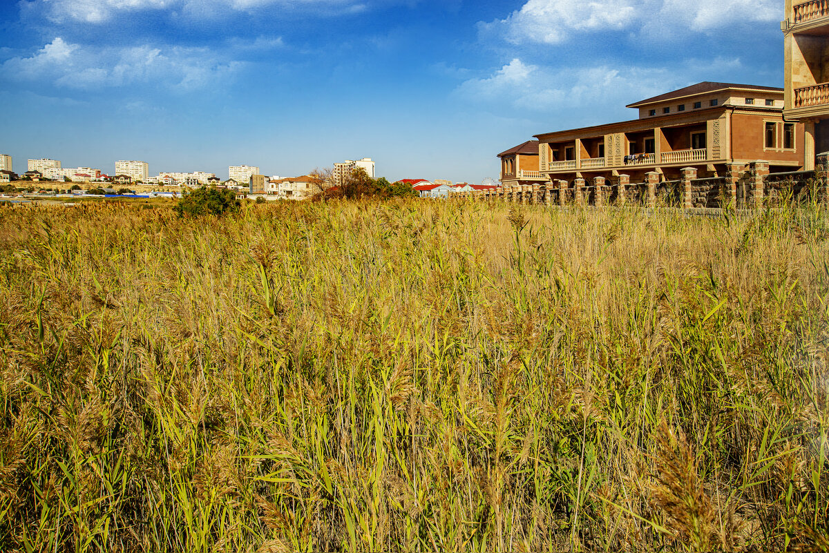 Каспийский берег - Анатолий Чикчирный