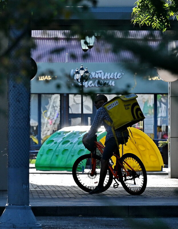 Доставщик... - Николай Саржанов