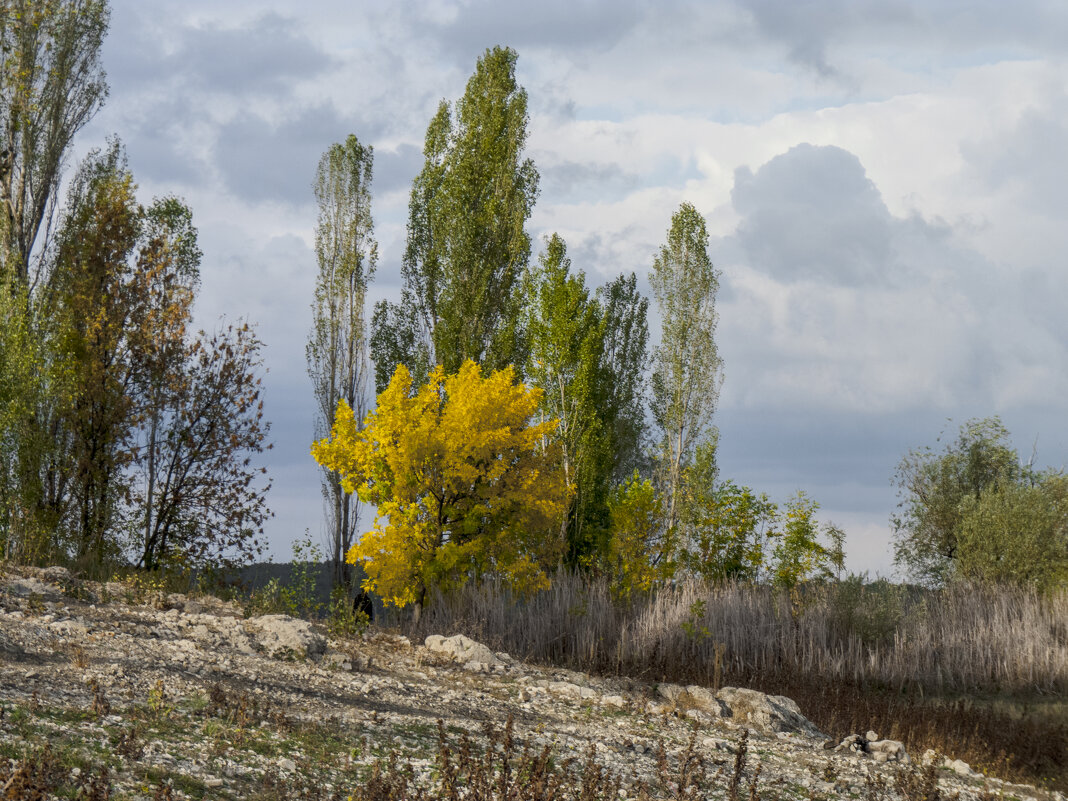 Осенние  пейзажи  Крыма - Валентин Семчишин