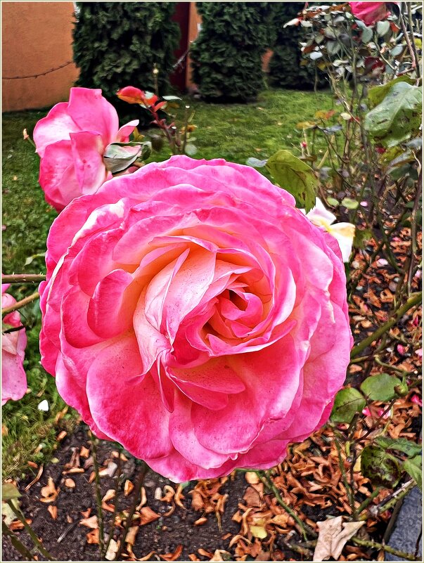 Осенняя. - Валерия Комова Осенняя. - Валерия Комова