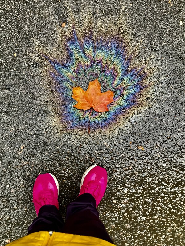 Яркие краски осени) - Любовь 