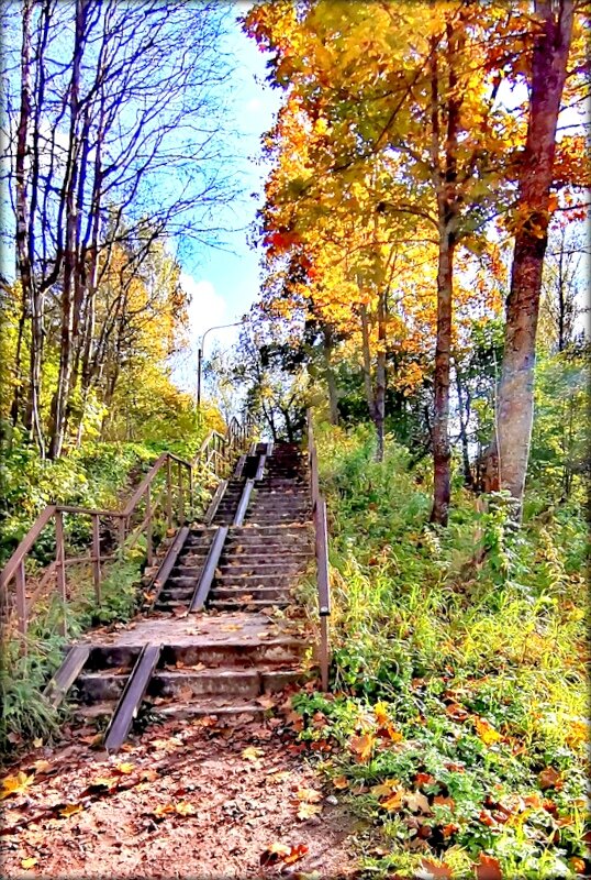 Павловск. парк Мариенталь - Сергей Павловск. парк Мариенталь - Сергей