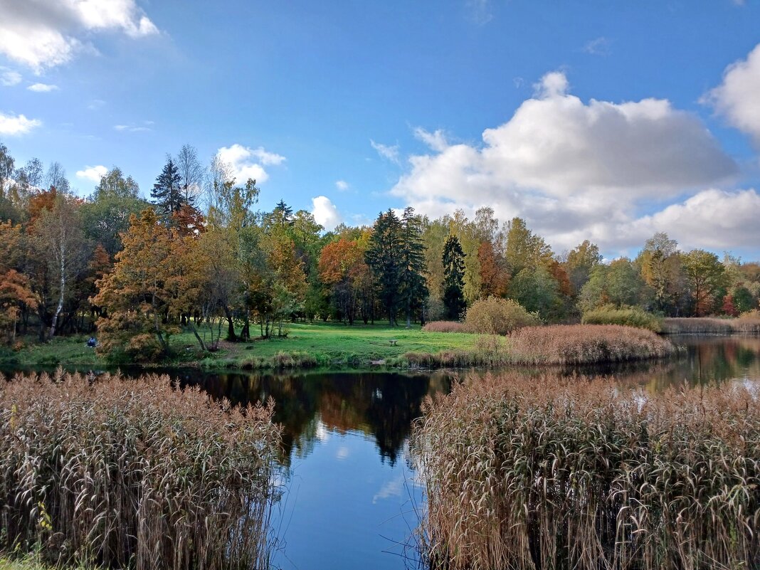 Глухое(Филькино) озеро. - Лия ☼